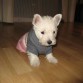 Maya con su 1 jersey ;)